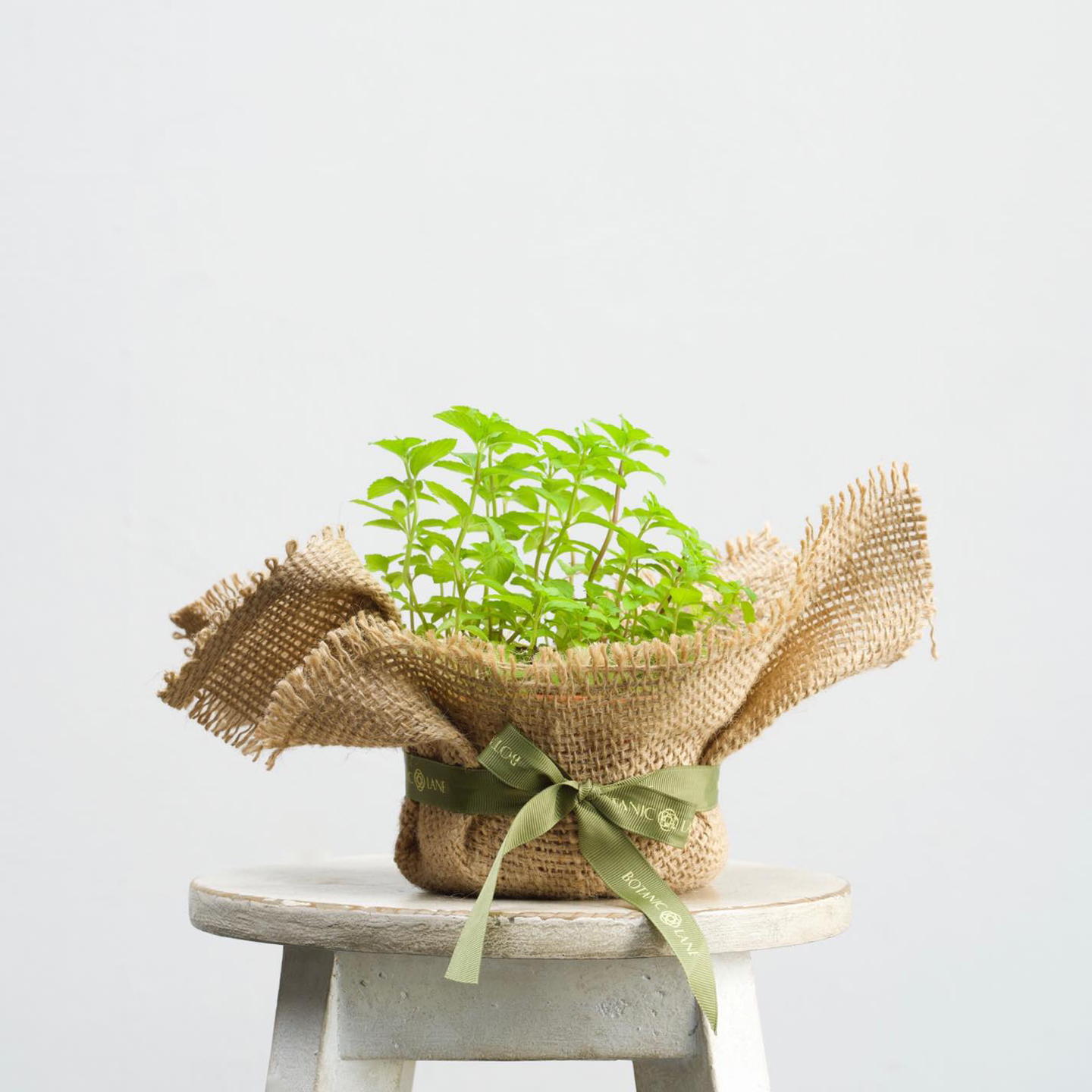 花(huā)卉店(diàn)品牌VI设计